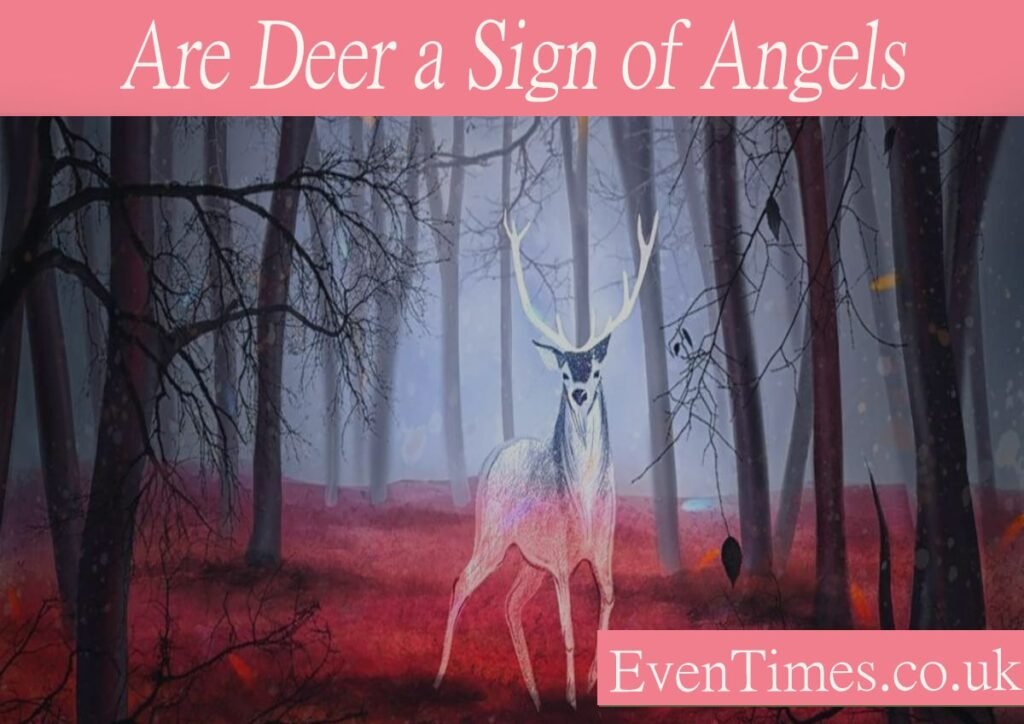 Are Deer a Sign of Angels? Exploring the Meaning Behind This Spiritual Symbol
