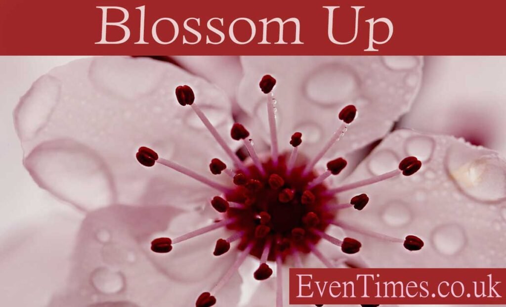 Blossom Up: Elevate Your Wellness Journey