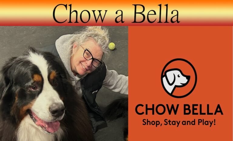 Chow a Bella: Where Flavor and Atmosphere Come Together