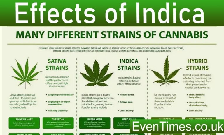Understanding the Effects of Indica: What You Need to Know