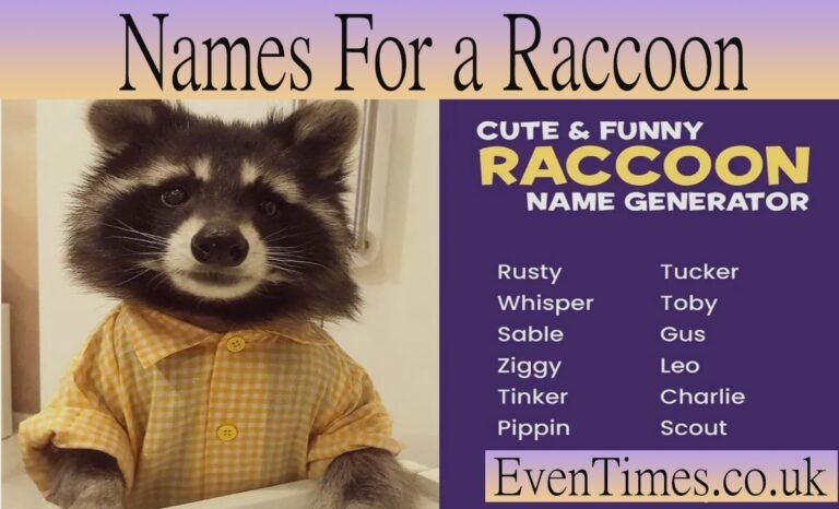 200+ Creative Names for a Raccoon Your Pet (Plus Naming Tips)