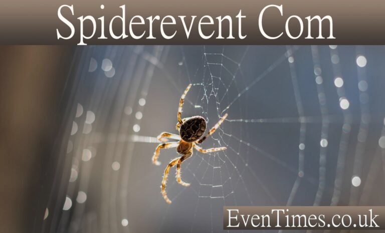 SpiderEvent.com: Your Complete Guide to This Multi-Topic Platform