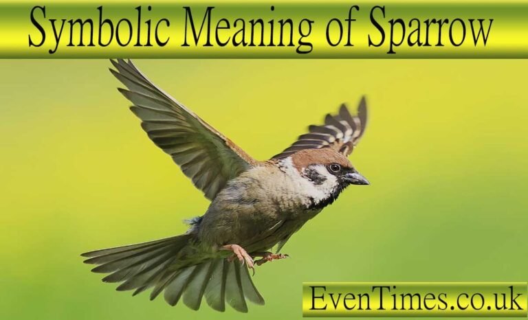 Unpacking the Symbolic Meaning of Sparrow 