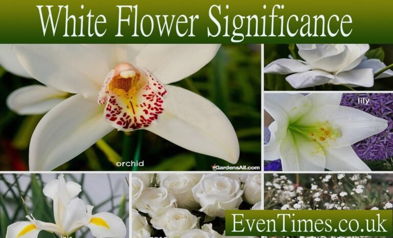 White Flower Significance: A Guide to Their Timeless Beauty