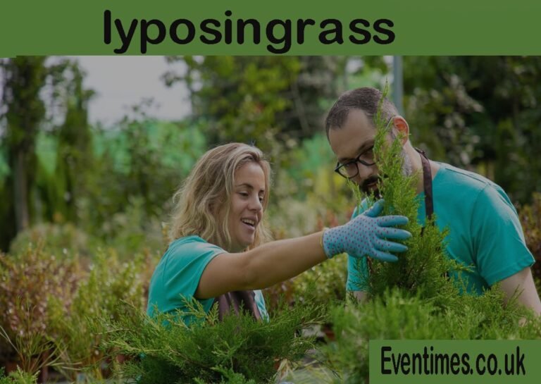 What Is Lyposingrass? Your Complete Guide to This Mysterious Plant