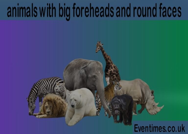 15 Adorable Animals with Big Foreheads and Round Faces 15 Adorable Animals with Big Foreheads and Round Faces